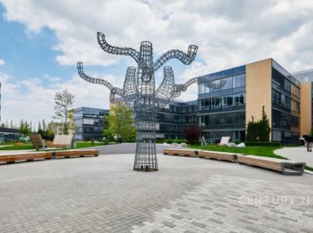 . | Pronájem - kanceláře, 332 m²