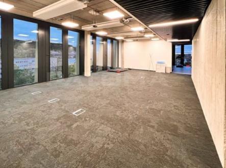 Pronájem - kanceláře, 1 036 m²