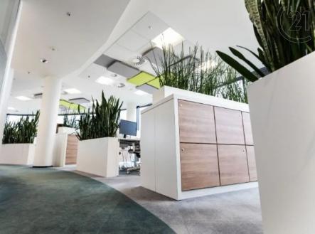 recepce / lobby | Pronájem - kanceláře, 692 m²