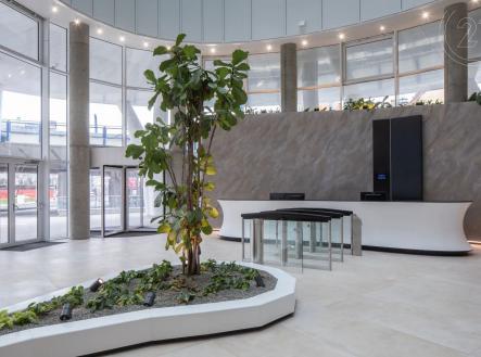 recepce / lobby | Pronájem - kanceláře, 960 m²