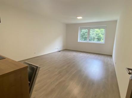 . | Pronájem bytu, 1+kk, 36 m²