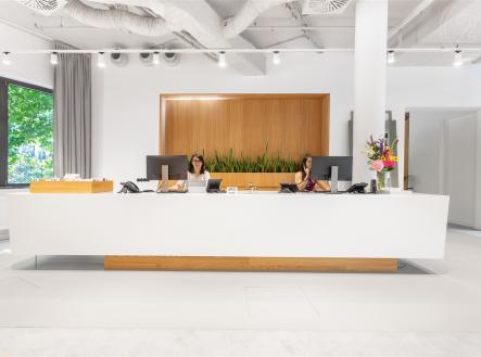 . | Pronájem - kanceláře, 50 m²