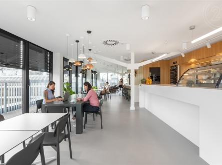 . | Pronájem - kanceláře, 50 m²