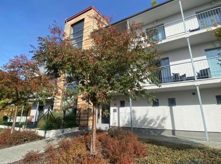 Pronájem bytu, 2+kk, 60 m² obrázek