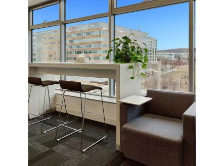 . | Pronájem - kanceláře, 50 m²