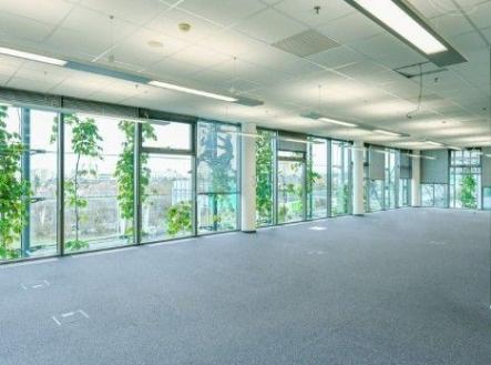 . | Pronájem - kanceláře, 530 m²