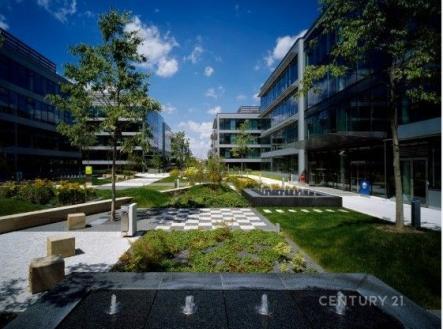 . | Pronájem - kanceláře, 280 m²