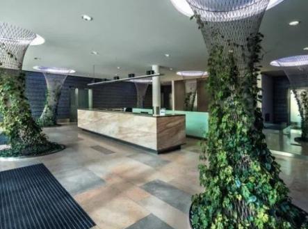 recepce / lobby | Pronájem - kanceláře, 280 m²