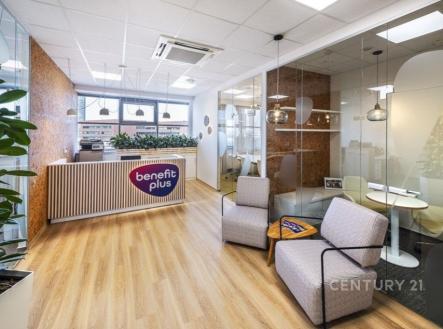 . | Pronájem - kanceláře, 250 m²