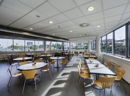 . | Pronájem - kanceláře, 883 m²