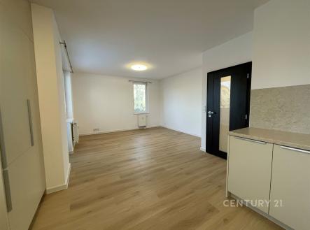 obývací pokoj s kuchyní a vstupem na balkon | Pronájem bytu, 2+kk, 53 m²