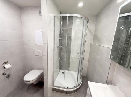 . | Pronájem bytu, 2+kk, 46 m²