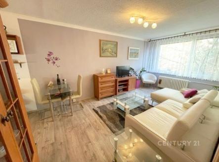 . | Pronájem bytu, 2+kk, 46 m²