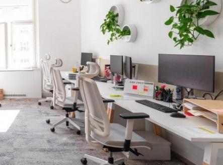 Moderní kancelářský prostor s ergonomickými židlemi, světlý interiér, velká okna, šedý koberec a stěny dekorované rostlinami. | Pronájem - obchodní prostor, 503 m²
