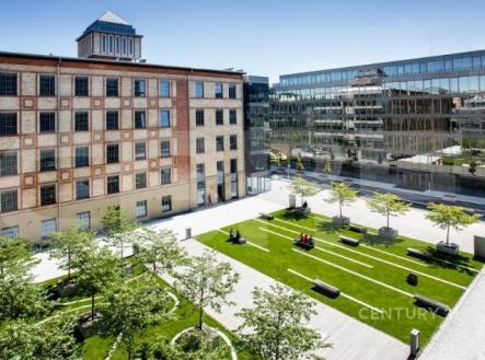 . | Pronájem - kanceláře, 330 m²