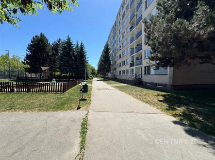 Dům ze zadní strany | Prodej bytu, 2+kk, 51 m²