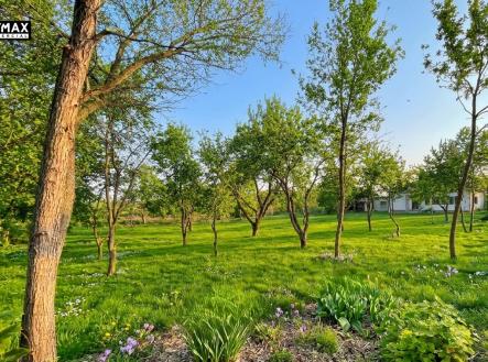 Prodej - pozemek pro bydlení, 1 009 m²