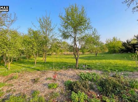 pozemek | Prodej - pozemek pro bydlení, 1 009 m²