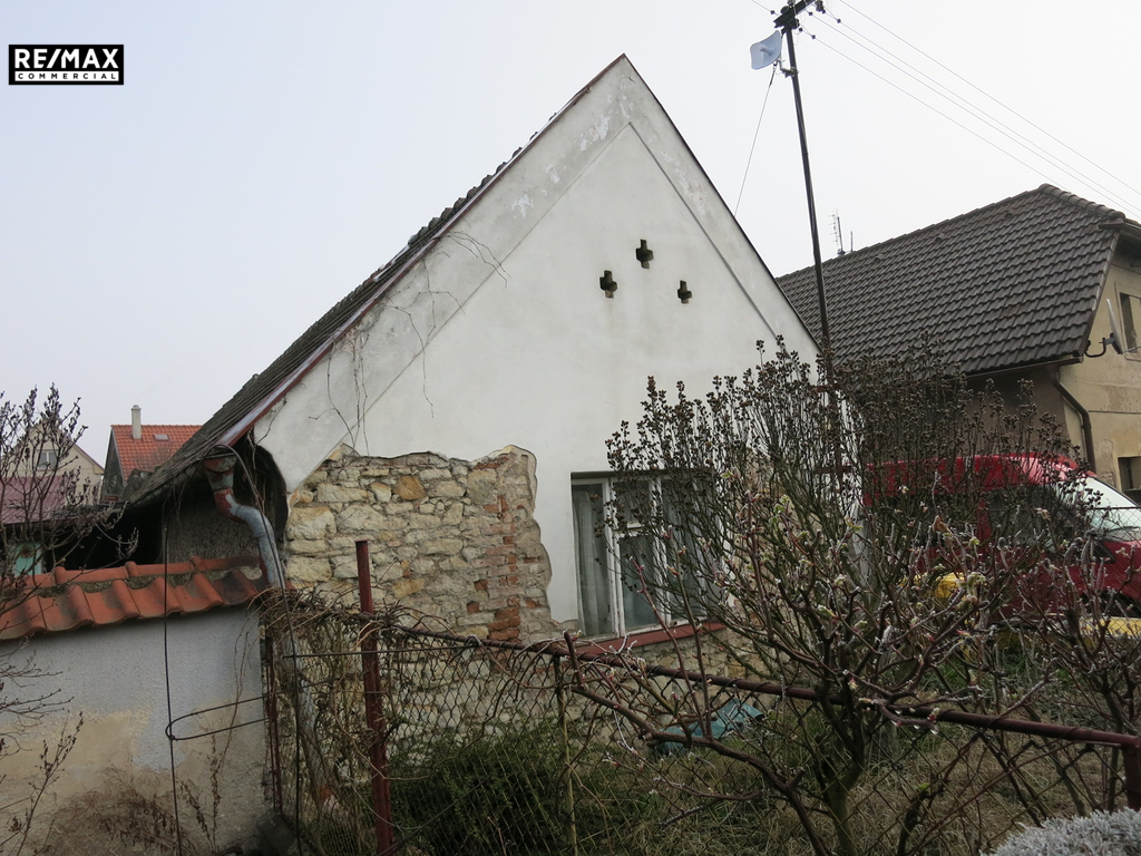 img-1386.jpg