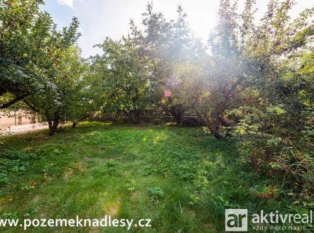 Pozemek Ujezd nad Lesy Viktor Janovský 18 | Prodej - pozemek pro bydlení, 751 m²
