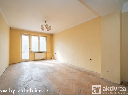 Byt Zabehlice Viktor Janovsky 01 | Prodej bytu, 2+1, 57 m²