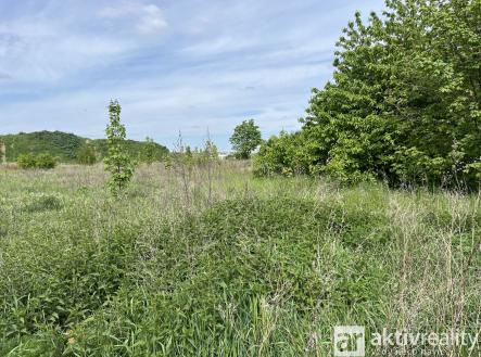 IMG_8843 | Prodej - pozemek pro bydlení, 1 352 m²