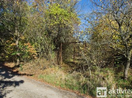 04_Q291693 | Prodej - pozemek, zahrada, 2 116 m²