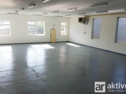 Sklad 4 dole velka hala | Pronájem - komerční objekt, sklad, 316 m²