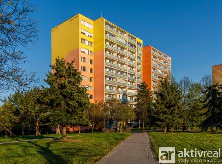 29 | Prodej bytu, 3+kk, 79 m²