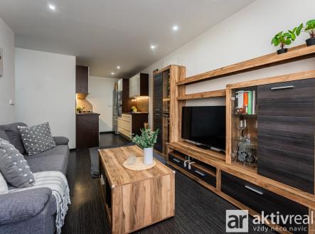 viktor janovsky byt2kk sportovni 08 | Pronájem bytu, 2+kk, 47 m²