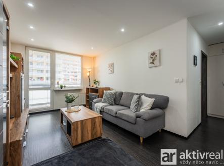 viktor janovsky byt2kk sportovni 03 | Pronájem bytu, 2+kk, 47 m²