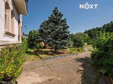 Prodej - dům/vila, 360 m²