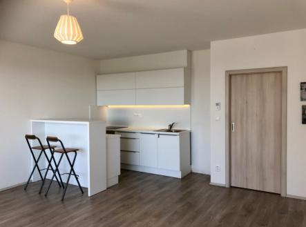 IMG_8586.jpg | Pronájem bytu, 1+kk, 40 m²