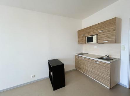 IMG_1157.jpeg | Pronájem bytu, 1+kk, 31 m²