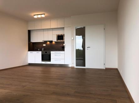 IMG_1568.JPG | Pronájem bytu, 1+kk, 45 m²