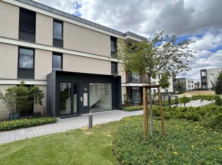 IMG_1361 | Pronájem bytu, 1+kk, 45 m²