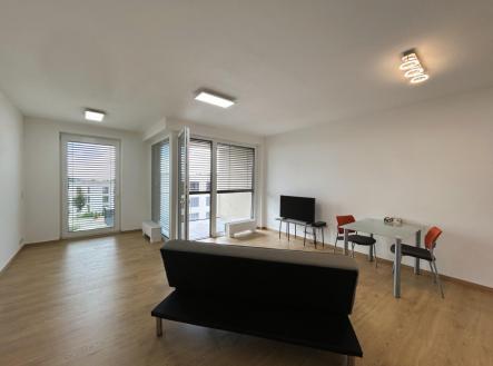 IMG_1369 | Pronájem bytu, 1+kk, 45 m²