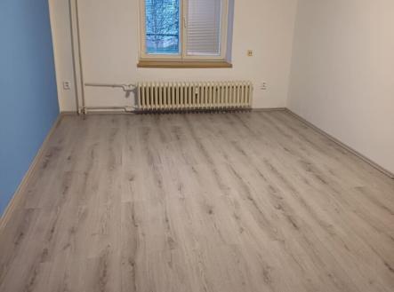 4e0d59f5-f90f-4aca-80fa-7dd229d6e598.jpg | Pronájem bytu, 2+1, 26 m²