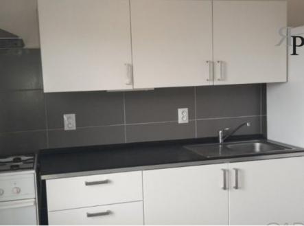 Pronájem bytu, 1+1, 43 m² obrázek