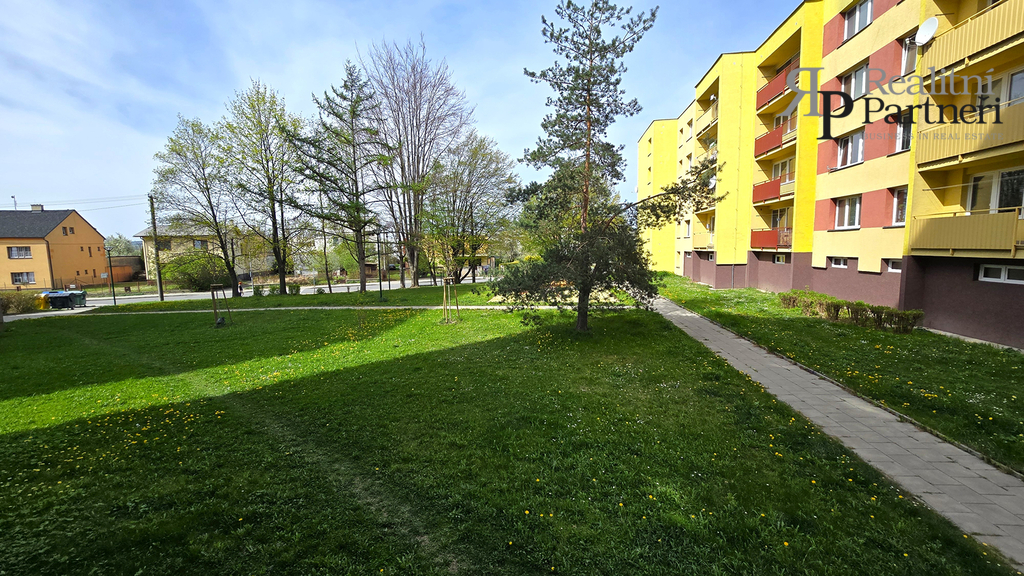 20250417-105105.jpg
