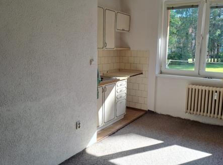 img-20260608-wa0003.jpg | Pronájem bytu, 1+kk, 26 m²