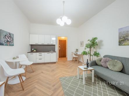 . | Pronájem bytu, 1+kk, 25 m²