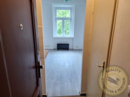 whatsapp-image-2025-05-16-at-15.16.54-5-1.jpeg | Pronájem bytu, 1+kk, 18 m²