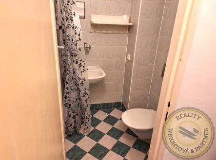 whatsapp-image-2025-05-16-at-15.16.55-2-1.jpeg | Pronájem bytu, 1+kk, 18 m²