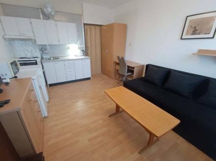Bez popisku | Pronájem bytu, 1+kk, 23 m²