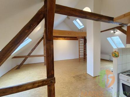 Pronájem bytu, 1+kk, 60 m²