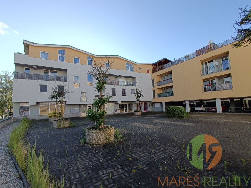 Pronájem bytu 1+kk, 40m2, Suchovrbenské náměstí