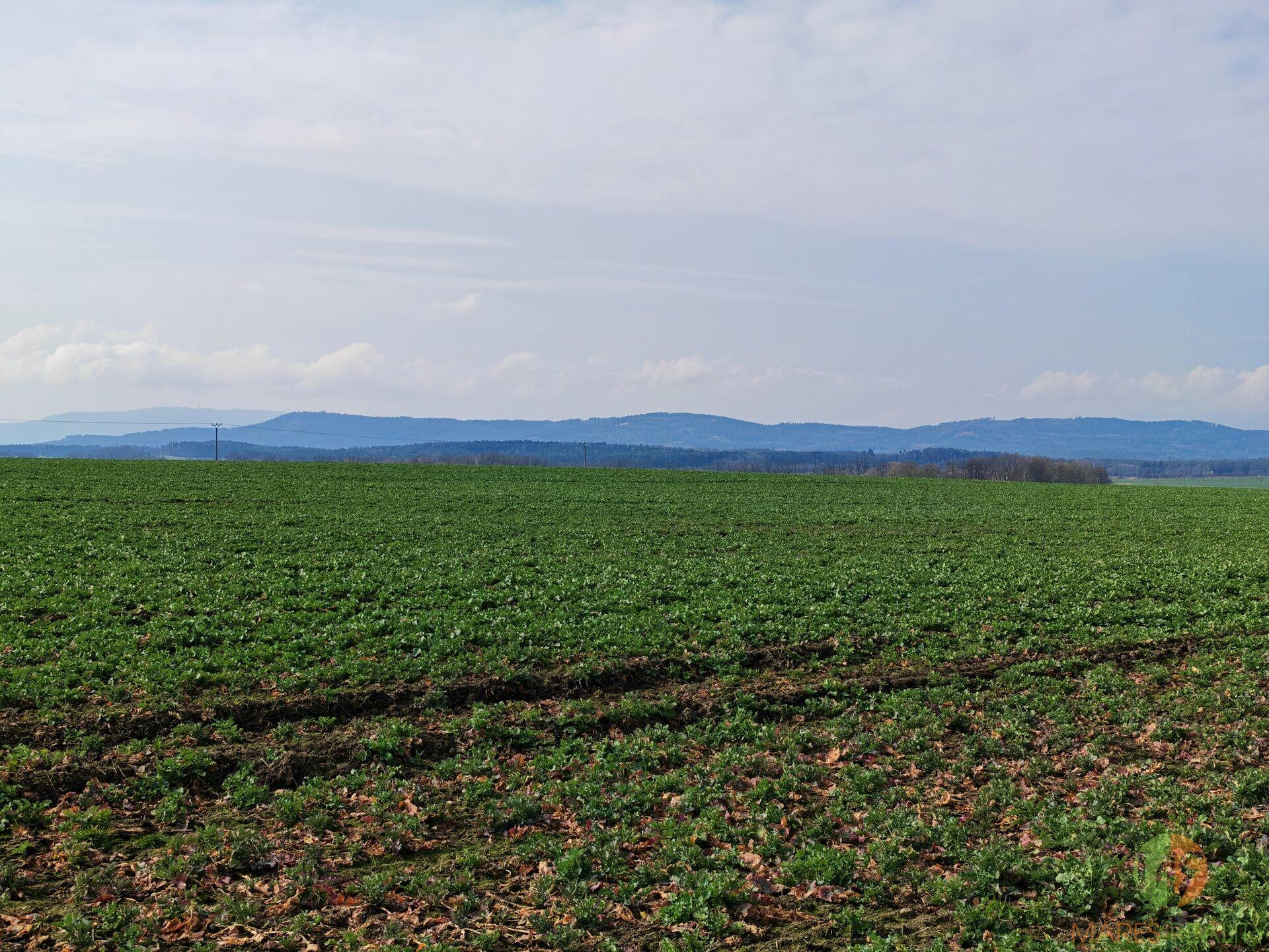Prodej stavebního pozemku, Branišov, 1971m2