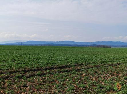 Prodej - pozemek pro bydlení, 1 971 m²