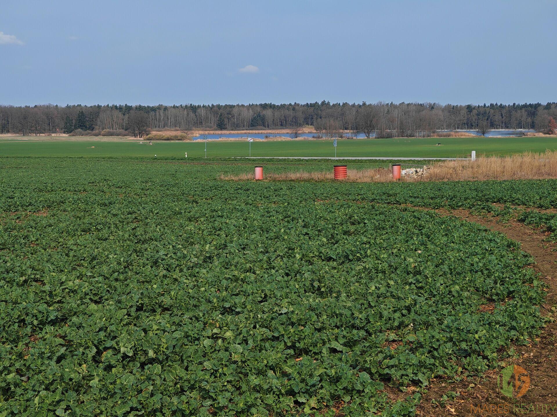 Prodej stavebního pozemku, Branišov, 1985m2
